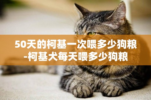 50天的柯基一次喂多少狗糧-柯基犬每天喂多少狗糧