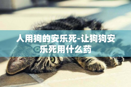 人用狗的安樂死-讓狗狗安樂死用什么藥