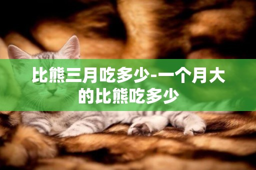 比熊三月吃多少-一個月大的比熊吃多少