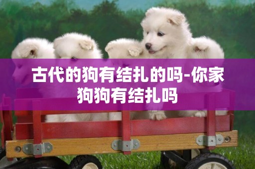 古代的狗有結扎的嗎-你家狗狗有結扎嗎