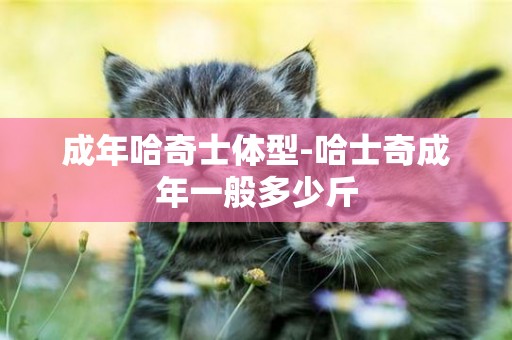 成年哈奇士體型-哈士奇成年一般多少斤