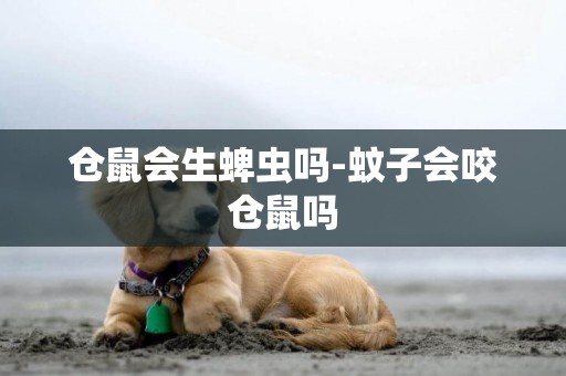 倉鼠會生蜱蟲嗎-蚊子會咬倉鼠嗎
