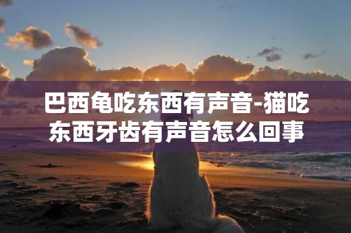 巴西龜吃東西有聲音-貓吃東西牙齒有聲音怎么回事