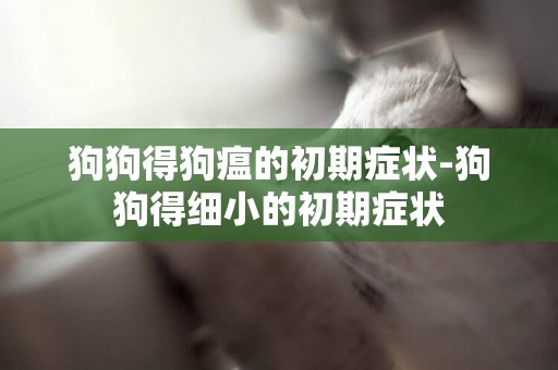 狗狗得狗瘟的初期癥狀-狗狗得細小的初期癥狀