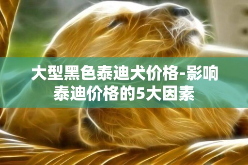大型黑色泰迪犬價格-影響泰迪價格的5大因素