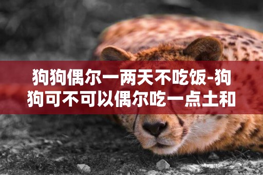 狗狗偶爾一兩天不吃飯-狗狗可不可以偶爾吃一點土和草