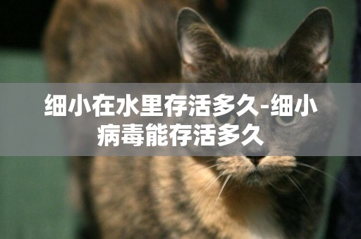 細小在水里存活多久-細小病毒能存活多久