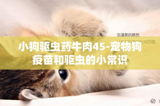 小狗驅蟲藥牛肉45-寵物狗疫苗和驅蟲的小常識