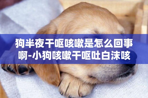 狗半夜干嘔咳嗽是怎么回事啊-小狗咳嗽干嘔吐白沫咳嗽是怎么回事