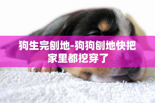 狗生完刨地-狗狗刨地快把家里都挖穿了