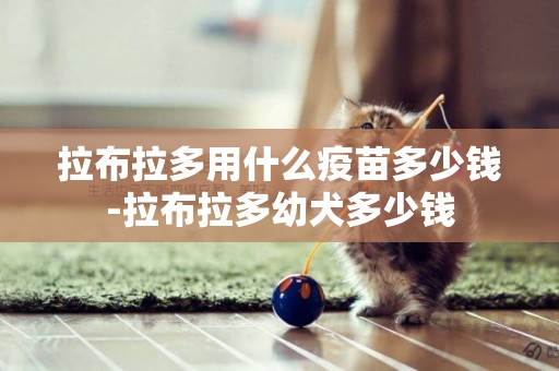 拉布拉多用什么疫苗多少錢-拉布拉多幼犬多少錢