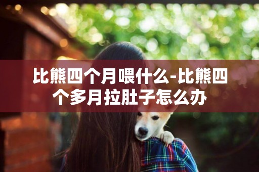 比熊四個月喂什么-比熊四個多月拉肚子怎么辦