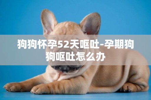 狗狗懷孕52天嘔吐-孕期狗狗嘔吐怎么辦