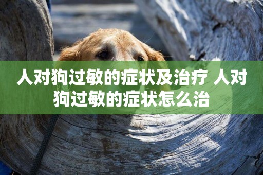 人對狗過敏的癥狀及治療 人對狗過敏的癥狀怎么治