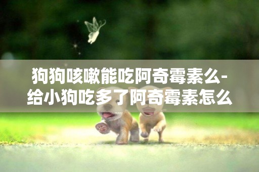 狗狗咳嗽能吃阿奇霉素么-給小狗吃多了阿奇霉素怎么辦