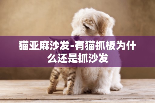 貓亞麻沙發-有貓抓板為什么還是抓沙發