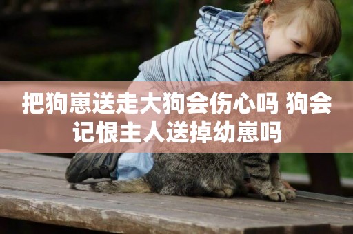把狗崽送走大狗會傷心嗎 狗會記恨主人送掉幼崽嗎