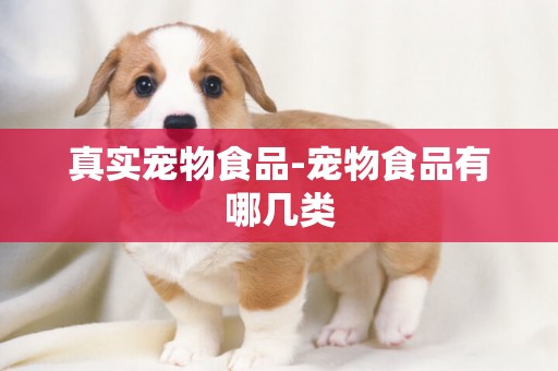 真實寵物食品-寵物食品有哪幾類
