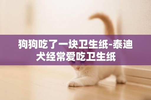 狗狗吃了一塊衛生紙-泰迪犬經常愛吃衛生紙