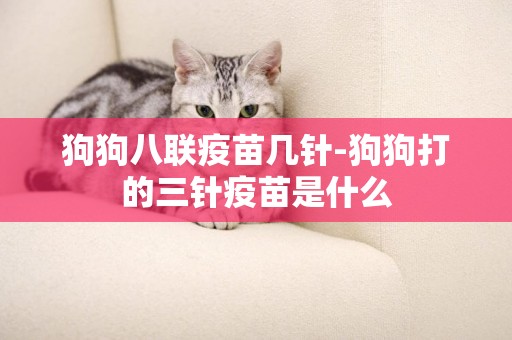 狗狗八聯疫苗幾針-狗狗打的三針疫苗是什么