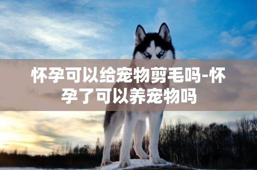 懷孕可以給寵物剪毛嗎-懷孕了可以養寵物嗎