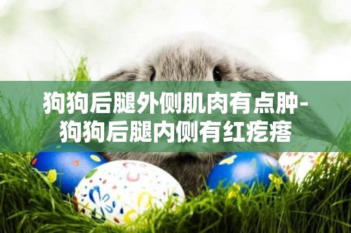狗狗后腿外側肌肉有點腫-狗狗后腿內側有紅疙瘩