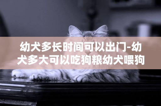 幼犬多長時間可以出門-幼犬多大可以吃狗糧幼犬喂狗糧時間