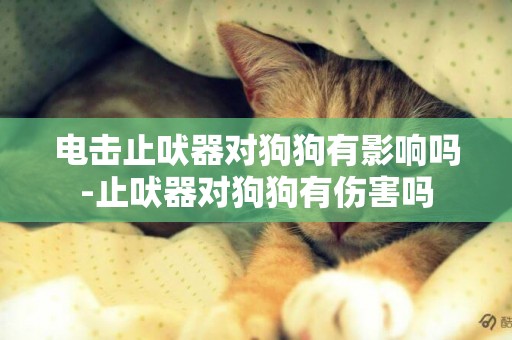 電擊止吠器對狗狗有影響嗎-止吠器對狗狗有傷害嗎