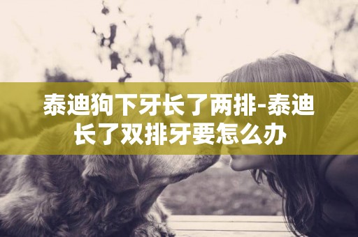 泰迪狗下牙長了兩排-泰迪長了雙排牙要怎么辦