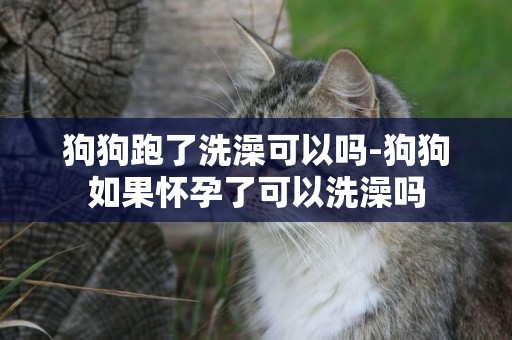 狗狗跑了洗澡可以嗎-狗狗如果懷孕了可以洗澡嗎