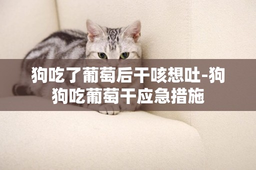 狗吃了葡萄后干咳想吐-狗狗吃葡萄干應急措施