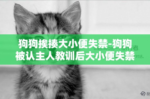狗狗挨揍大小便失禁-狗狗被認主人教訓后大小便失禁