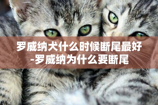 羅威納犬什么時候斷尾最好-羅威納為什么要斷尾