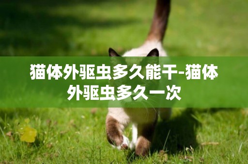 貓體外驅蟲多久能干-貓體外驅蟲多久一次