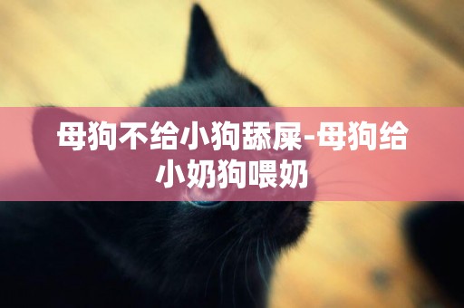 母狗不給小狗舔屎-母狗給小奶狗喂奶