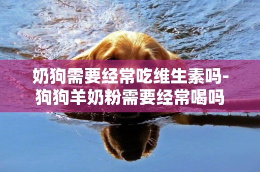 奶狗需要經常吃維生素嗎-狗狗羊奶粉需要經常喝嗎
