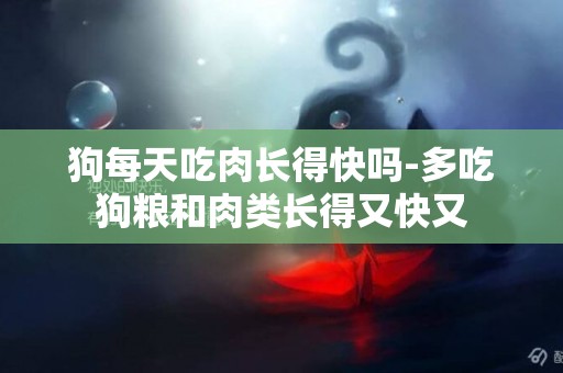 狗每天吃肉長得快嗎-多吃狗糧和肉類長得又快又