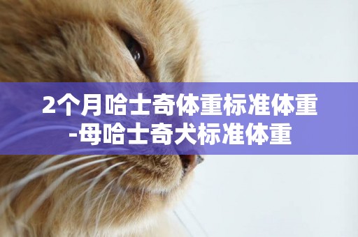 2個月哈士奇體重標準體重-母哈士奇犬標準體重