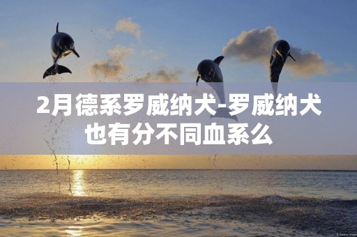 2月德系羅威納犬-羅威納犬也有分不同血系么