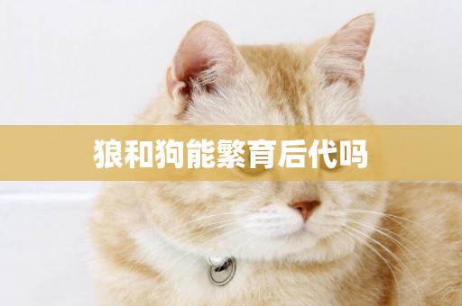 狼和狗能繁育后代嗎