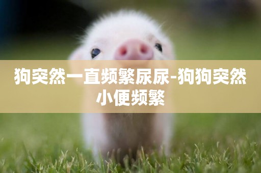 狗突然一直頻繁尿尿-狗狗突然小便頻繁