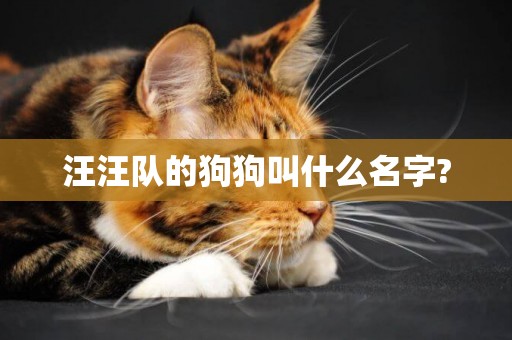 汪汪隊的狗狗叫什么名字?