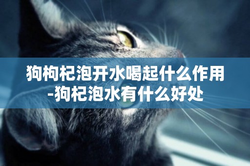 狗枸杞泡開水喝起什么作用-狗杞泡水有什么好處