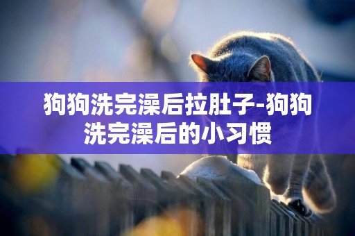 狗狗洗完澡后拉肚子-狗狗洗完澡后的小習慣