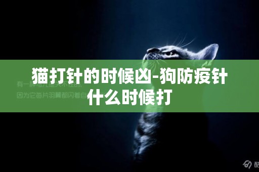 貓打針的時候兇-狗防疫針什么時候打