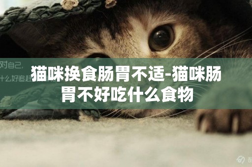 貓咪換食腸胃不適-貓咪腸胃不好吃什么食物