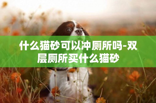 什么貓砂可以沖廁所嗎-雙層廁所買什么貓砂