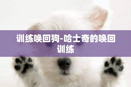 訓練喚回狗-哈士奇的喚回訓練