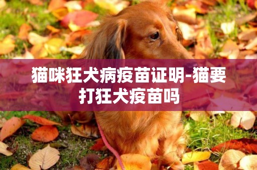 貓咪狂犬病疫苗證明-貓要打狂犬疫苗嗎