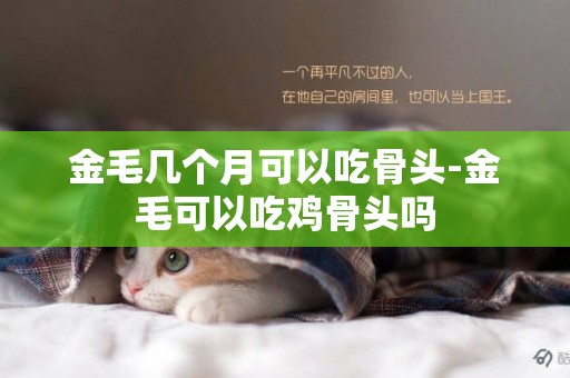 金毛幾個月可以吃骨頭-金毛可以吃雞骨頭嗎